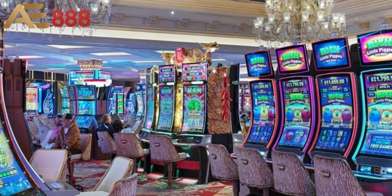 Hình ảnh trực tiếp từ dealer thật hấp dẫn người chơi